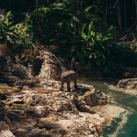 Amaite Retreat Tulum Hotel Macario Gomez ภายนอก รูปภาพ