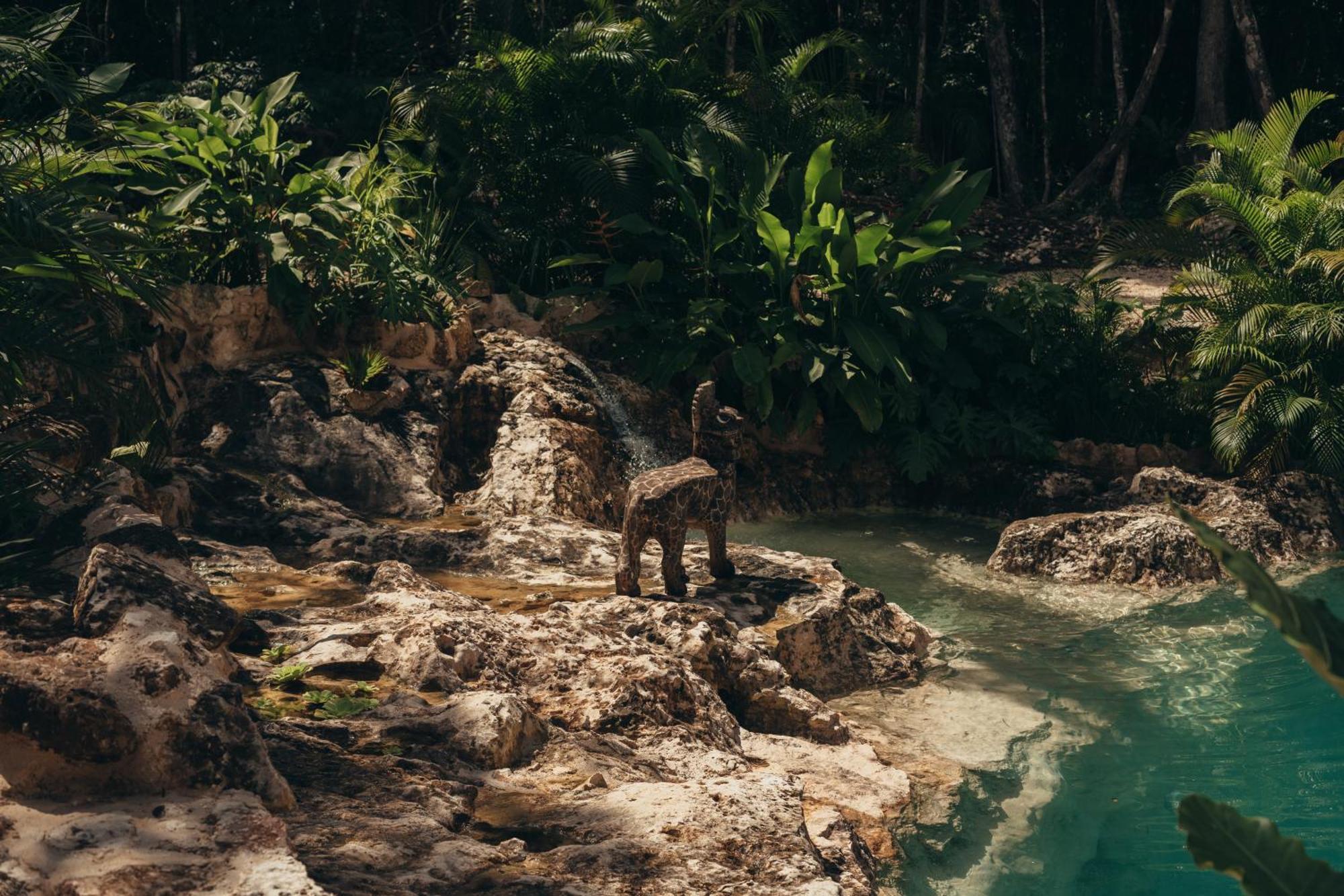 Amaite Retreat Tulum Hotel Macario Gomez ภายนอก รูปภาพ